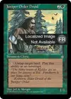 Product image for Druide de l'Ordre du genévrier