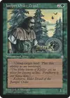Product image for Juniper Order Druid
