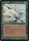 Product image for Pale Bears