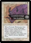 Product image for Rune de garde prismatique