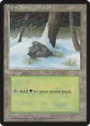 Product image for Snow-Covered Forest