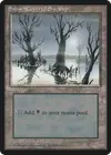 Product image for Snow-Covered Swamp