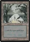 Product image for Swamp