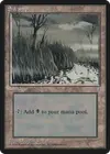 Product image for Swamp