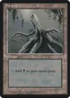 Product image for Swamp