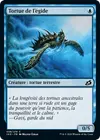 Product image for Tortue de l'égide