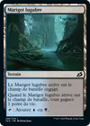 Product image for Marigot lugubre