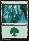 Product image for Forest