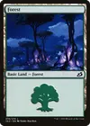 Product image for Forest