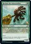 Product image for Recluse des nitescenthes