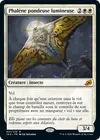 Product image for Phalène pondeuse lumineuse