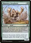 Product image for Migratory Greathorn