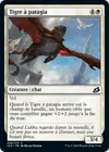 Product image for Tigre à patagia