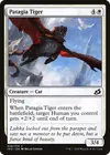 Product image for Patagia Tiger