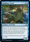 Product image for Symbiote têtard