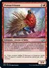 Product image for Psittacérisson