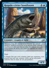 Product image for Requin-côtier bondissant