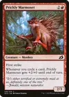 Product image for Prickly Marmoset