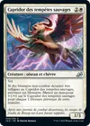 Product image for Capridor des tempêtes sauvages