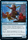 Product image for Mentor volenvergue