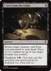 Product image for Crawl from the Cellar