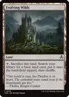 Product image for Evolving Wilds