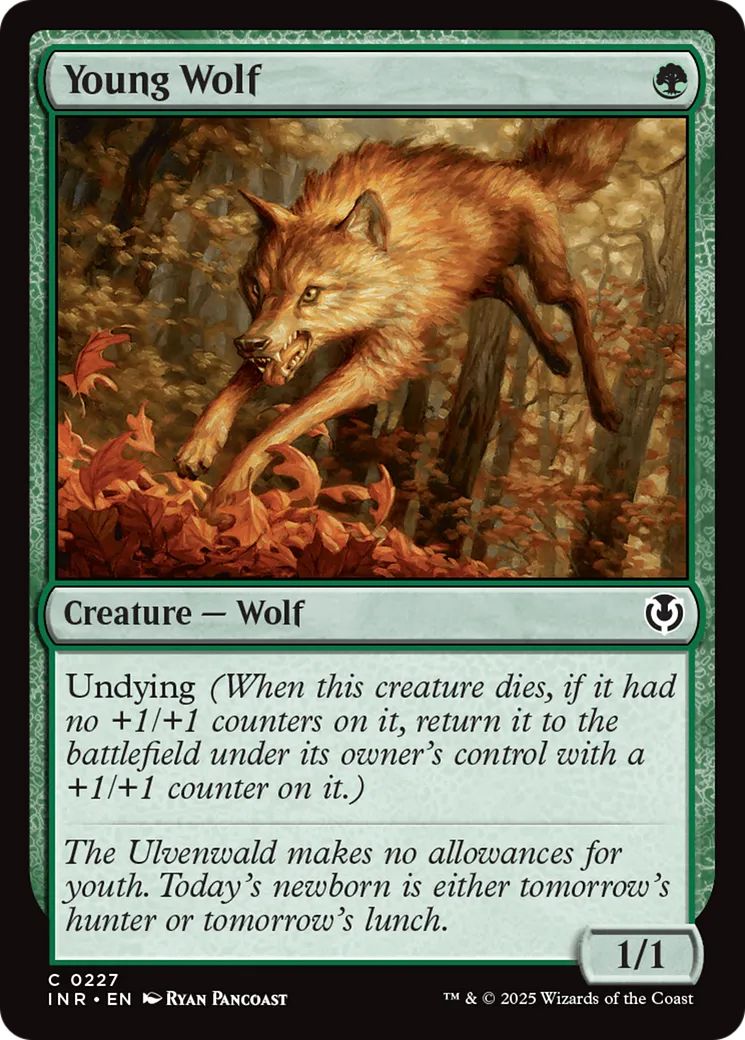 Young Wolf — Innistrad Remastered — Magic: The Gathering