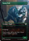 Product image for Young Wolf