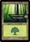 Product image for Forêt