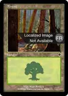 Product image for Forêt