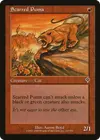 Product image for Scarred Puma