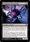 Product image for Charançon de cervelle