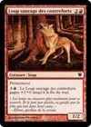 Product image for Loup sauvage des contreforts
