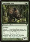Product image for Festerhide Boar