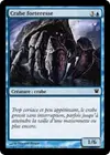 Product image for Crabe forteresse