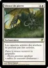 Product image for Silence de pierre