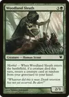 Product image for Woodland Sleuth