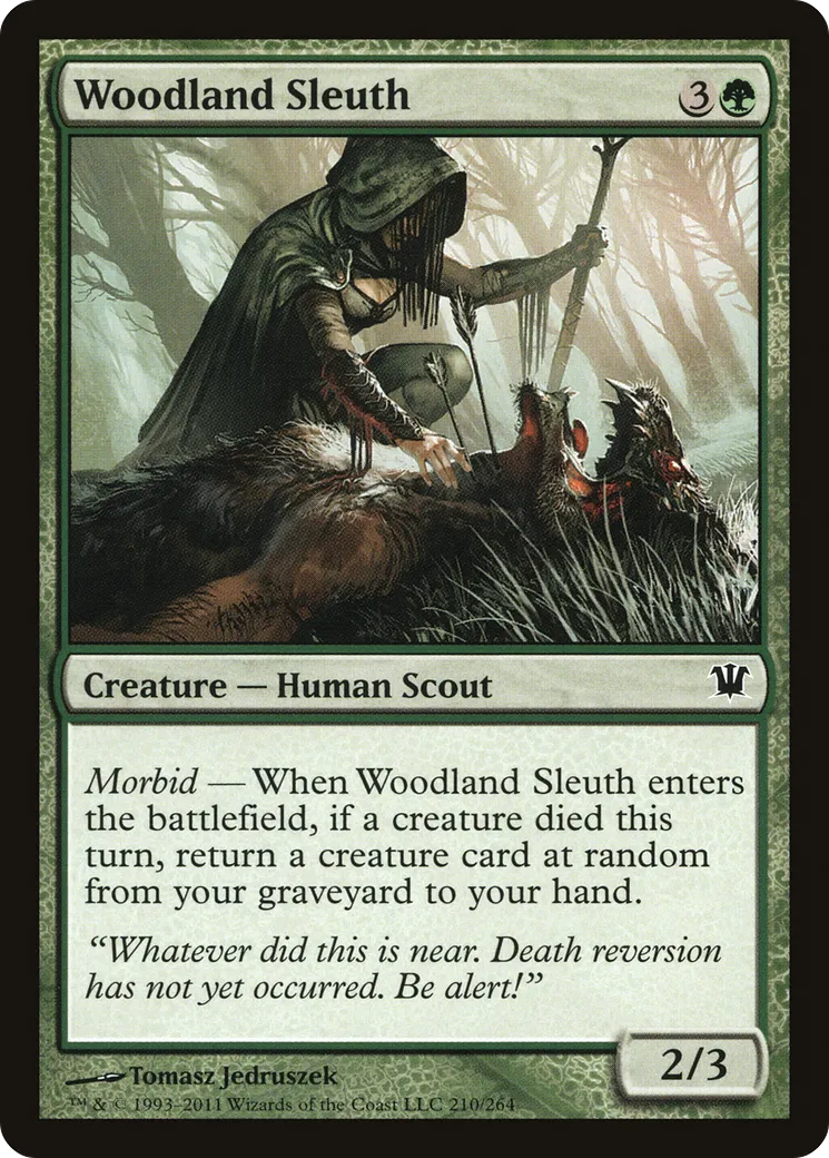 Woodland Sleuth — Innistrad — Magic: The Gathering