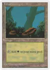 Product image for Forest