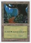 Product image for Forest