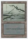 Product image for Swamp