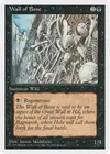 Product image for Wall of Bone