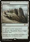 Product image for Wasteland