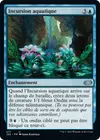 Product image for Incursion aquatique