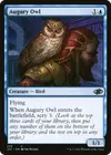 Product image for Augury Owl