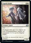 Product image for Esprits bénis
