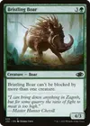 Product image for Bristling Boar
