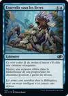 Product image for Ensevelir sous les livres