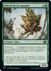 Product image for Baloth de la canopée