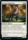 Product image for Licorne captivante